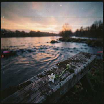 River's Dark Blue Serenade
