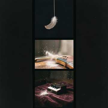 Ivory Dust