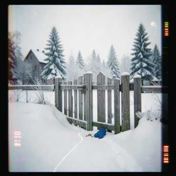 The Blue Mitten