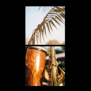 Palmwine Bounce