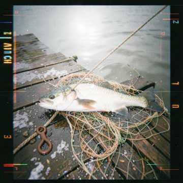 Tuff Sea Bass