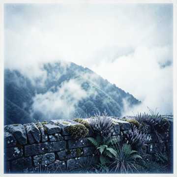 Mist of the Highlands