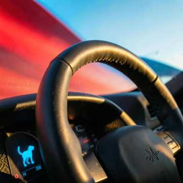 Special Week Ride