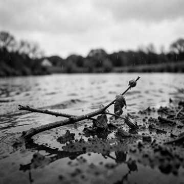 River's Veil & Broken Vows