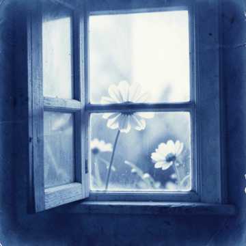 Bajo tu ventana