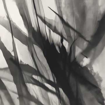 Whispers in the Twilight