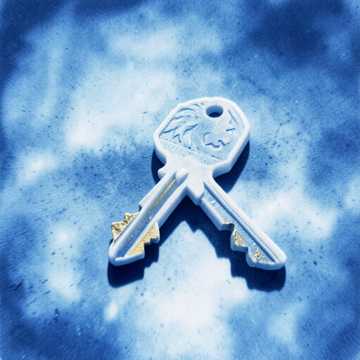 05_ LY0N – KEYS TO THE NETWORK (THE LION KEY)