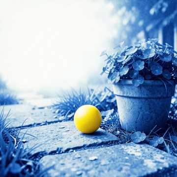 Yellow Ball