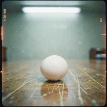 이번생은 처음이라