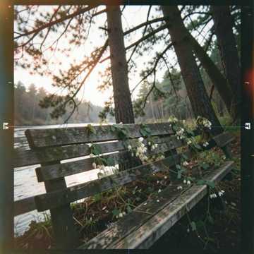 Honeysuckle River Lullaby