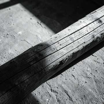 Echoes of the Logbeat Echoes of the Logbeat