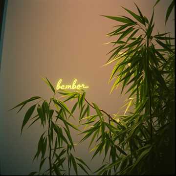 Stranger in foreign sky