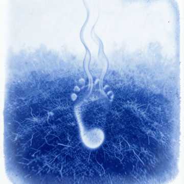 Nocturne de los Susurros