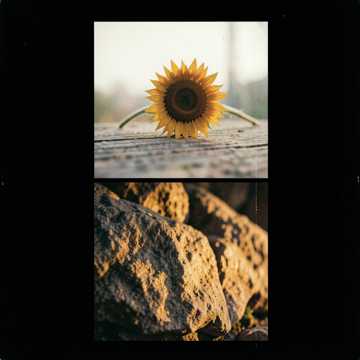 LISA — NON DIMENTICARE MAI