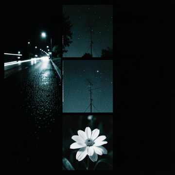 awerysopelea - Why Is There Something