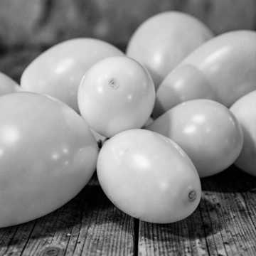 Bouncy Boobies Bouncy Boobies