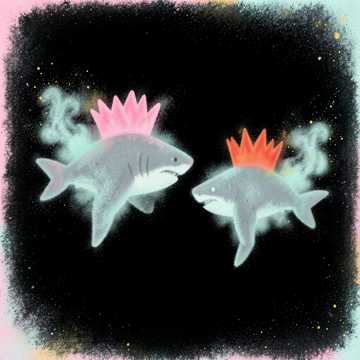 King & Queen Sharks