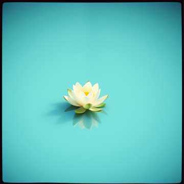 Quatro Grandes Votos do Bodhisattva