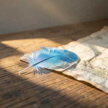 Blue Feather Day Blue Feather Day