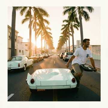 Palm Tree Pimpin