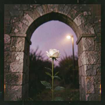 Somnium Obscurum