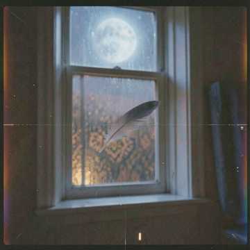 Silent Veil of Moonlit Grief Silent Veil of Moonlit Grief