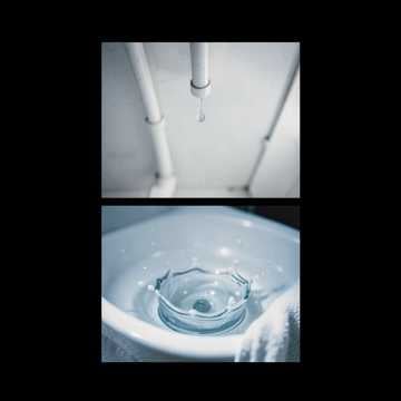 Toilet Fun