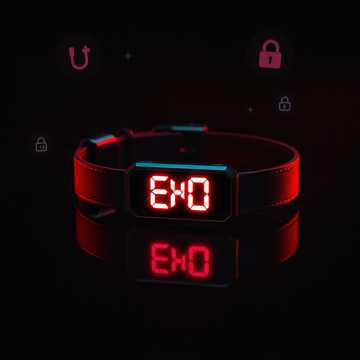 ゼロ囚われハーモニー