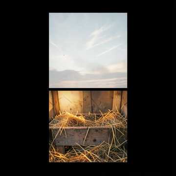 Shepherds' First Light