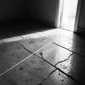 Thread Through The Dark
