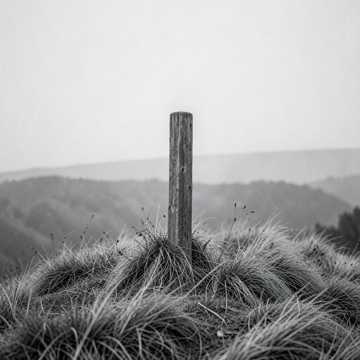 Whispers of the Ridge Whispers of the Ridge
