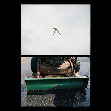 DANTE — CUT THE BEAT, CUT THE GRASS DANTE — CUT THE BEAT, CUT THE GRASS
