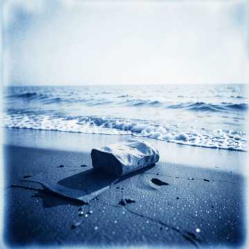 Shores of Serenity