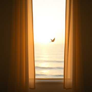 En Tu Luz Vuelvo a Volar En Tu Luz Vuelvo a Volar