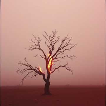 Yüzün Gibi Derinden