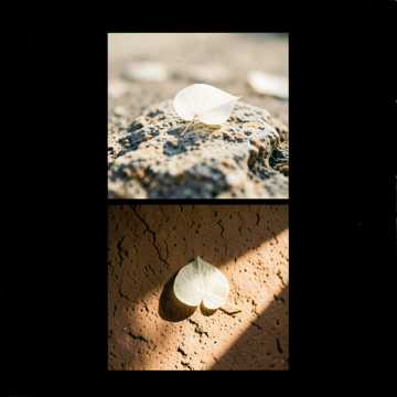 قلب النسمات قلب النسمات