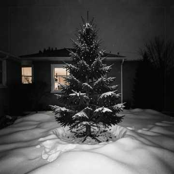 Solitaria Navidad 9
