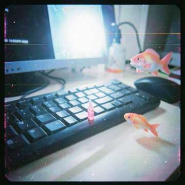 Fishy 