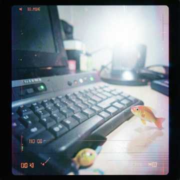 Fishy 