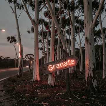 Granate la cabeza