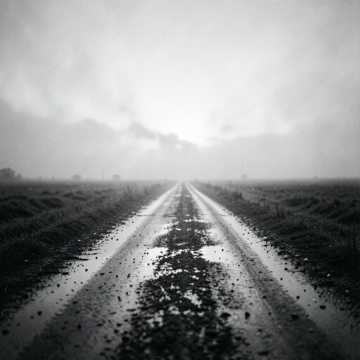 Whisper of the Road Whisper of the Road