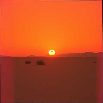 Жди Меня Там