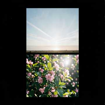 Spring 2