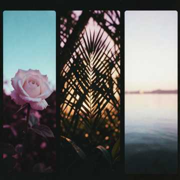 أنوار قلبي أنوار قلبي