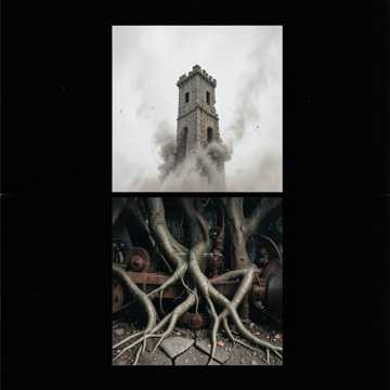 The Roots Remember
