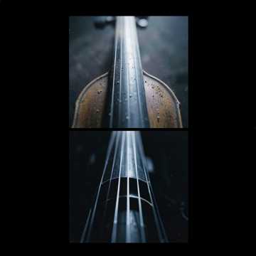 Nocturne of the Silent Strings