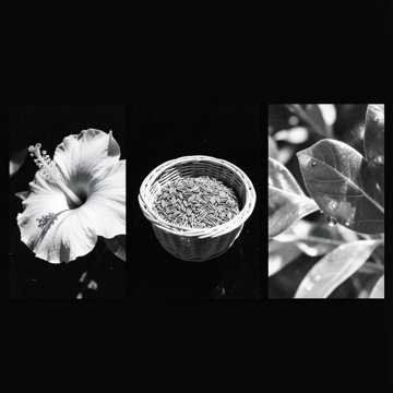 Amor de primavera