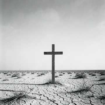 Echoes of the Desolate Plains Echoes of the Desolate Plains