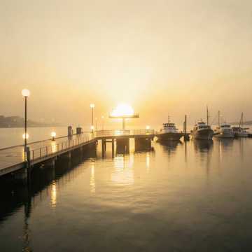 Harbor Gaze