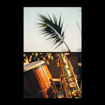 Palmwine Bounce